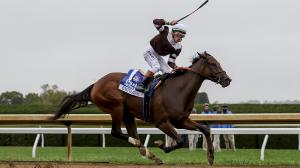 Emphatic, Alcibiades, Keeneland, Fall Stars, horse racing, America's Best Racing, ABR